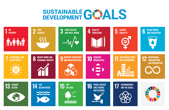 SDGs logo and panels